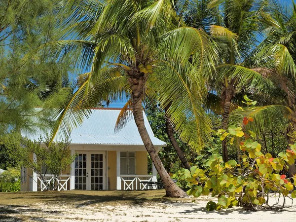 ケイマン諸島の夏の家 — ストック写真