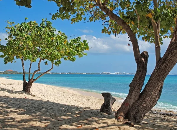 Grand Cayman Beach — Stockfoto