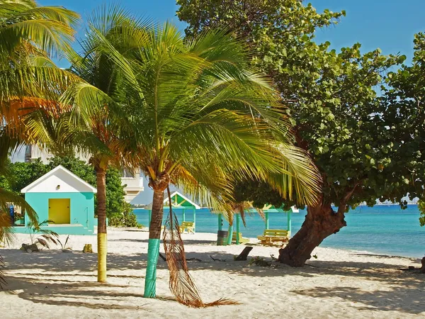 Spiaggia delle Isole Cayman — Foto Stock