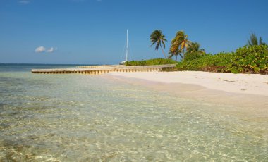 cayman Adaları'ndaki ıssız tropikal plaj