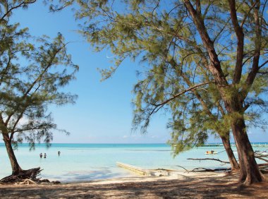 Rum noktası grand cayman