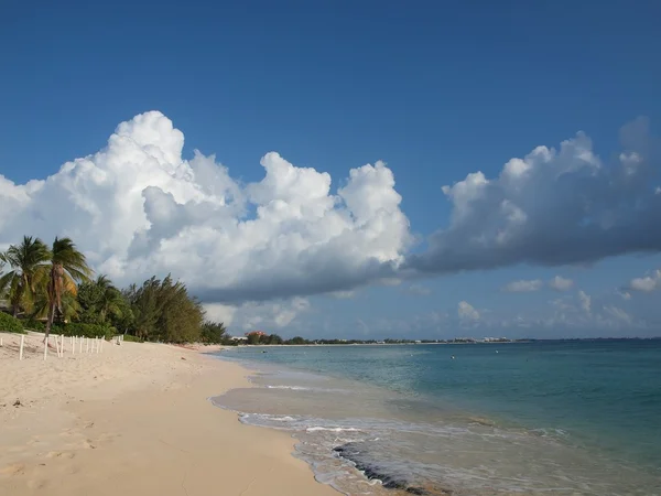 Karaibska plaża Kajmany — Zdjęcie stockowe
