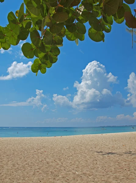 Caribbean Beach Grand Cayman — Stock Photo, Image