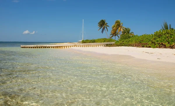 ケイマン諸島に捨てられた熱帯ビーチ — ストック写真
