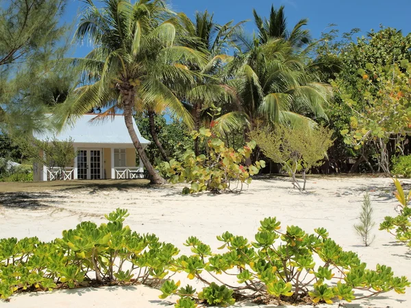 Cayman Islands Beach — Stock Photo, Image