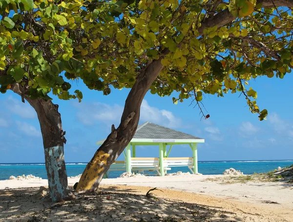 Παραλία τέλος Ανατολή Grand cayman — Φωτογραφία Αρχείου