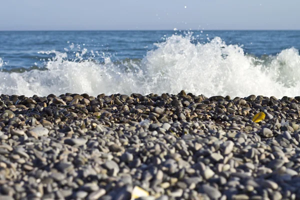 Vågor på stranden. Stockbild