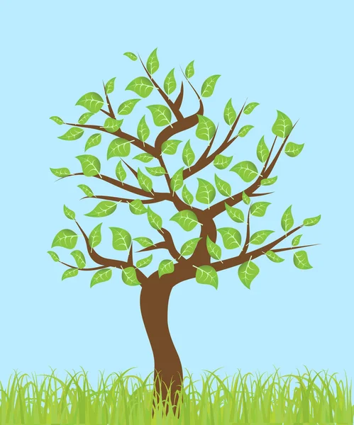 Árbol con hojas — Vector de stock