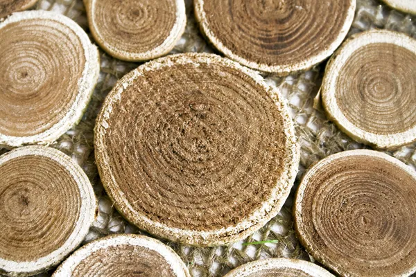 Beautiful wooden circles on a fabric