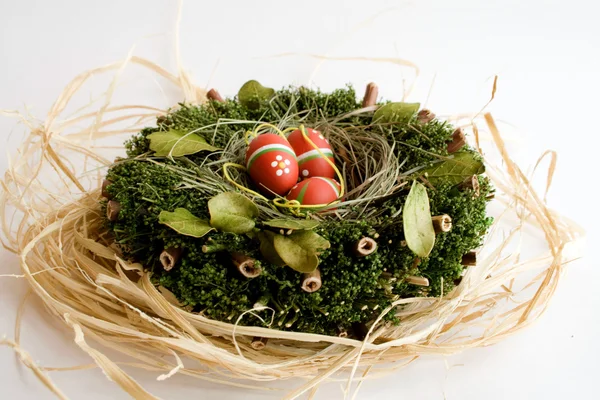 Beau nid avec des œufs de Pâques sur fond blanc — Photo
