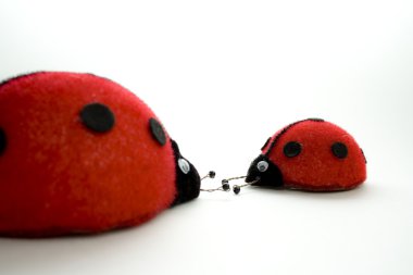 büyük ve küçük iki ladybirds