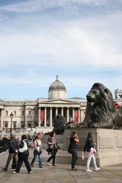 Trafalgar Meydanı — Stok fotoğraf