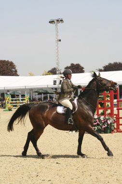 Royal Windsor at göstermek