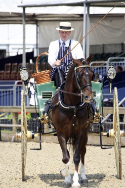 Royal Windsor at göstermek