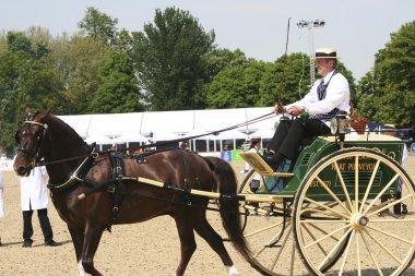 Royal Windsor at göstermek