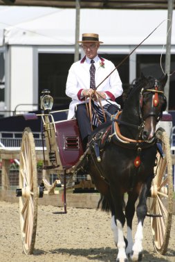 Royal Windsor at göstermek