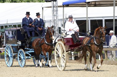 Royal Windsor at göstermek