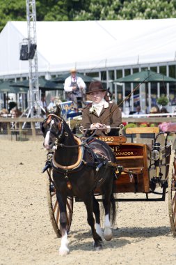 Royal Windsor at göstermek