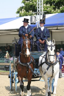 Royal Windsor at göstermek