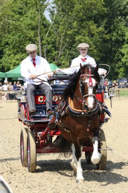 Royal Windsor at göstermek