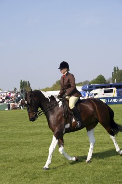 Royal Windsor at göstermek