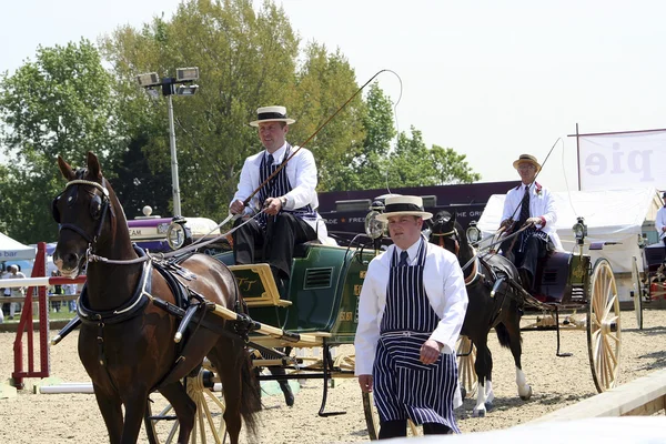 stock image Royal Windsor Horse Show