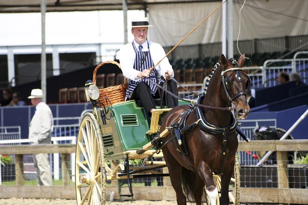 stock image Royal Windsor Horse Show