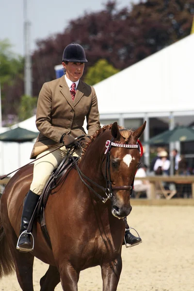 stock image Royal Windsor Horse Show