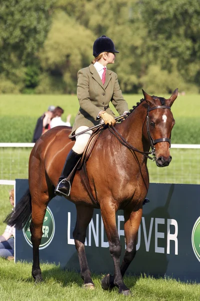 stock image Royal Windsor Horse Show