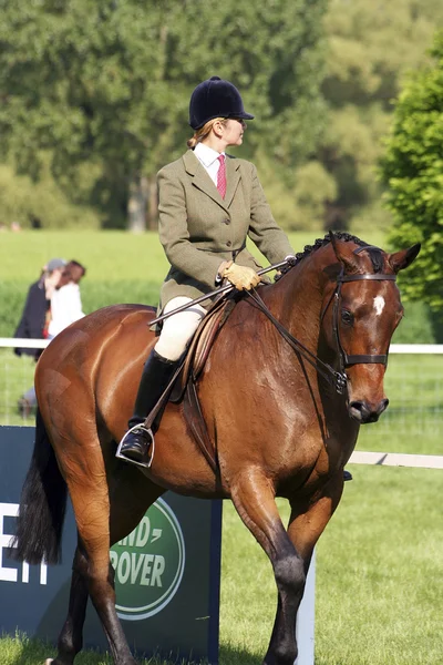 stock image Royal Windsor Horse Show