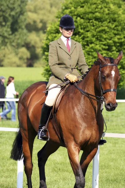 Royal Windsor Horse Show — Stock Photo, Image