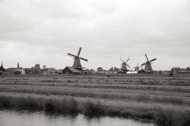 zaanse Schans'a yel