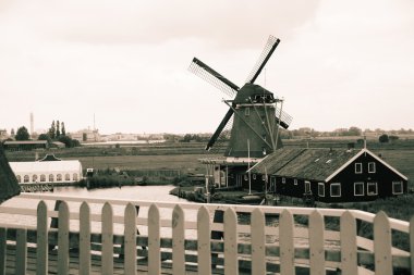 zaanse Schans'a yel