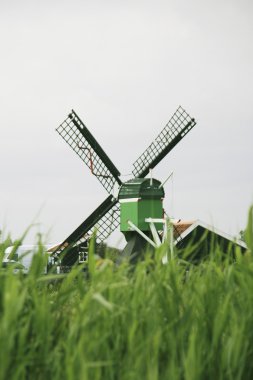 zaanse Schans'a yel