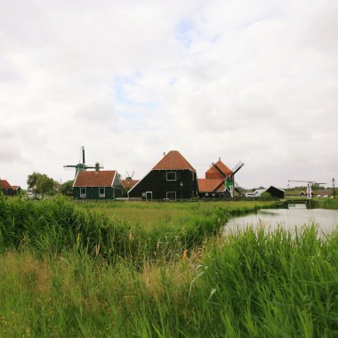 zaanse Schans'a yel