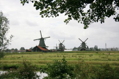 zaanse Schans'a yel