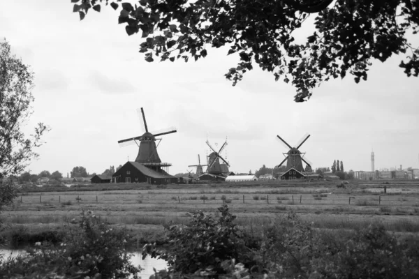 Moulins à vent de Zaanse Schans — Photo