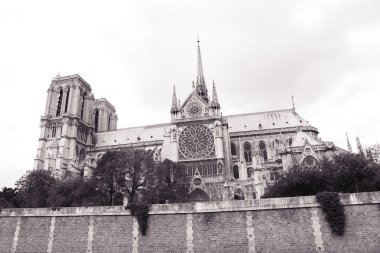 Notre dame de Paris