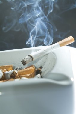 Cigarette in the ashtray clipart
