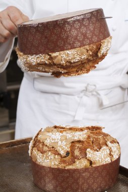 panettone fırında pişmiş pasta şefi, uzakta alır