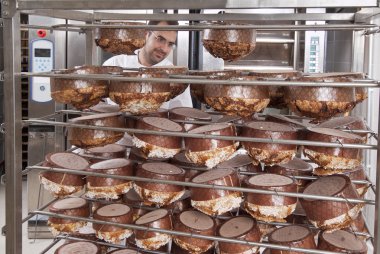 panettone fırında pişmiş pasta şefi, uzakta alır