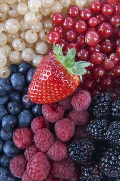 Mixed Berries — Stock Photo, Image
