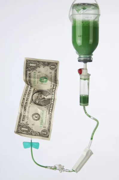 New life to the dollar — Stock Photo, Image