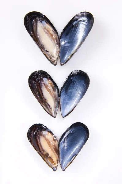 Fresh mussels — Stock Photo, Image