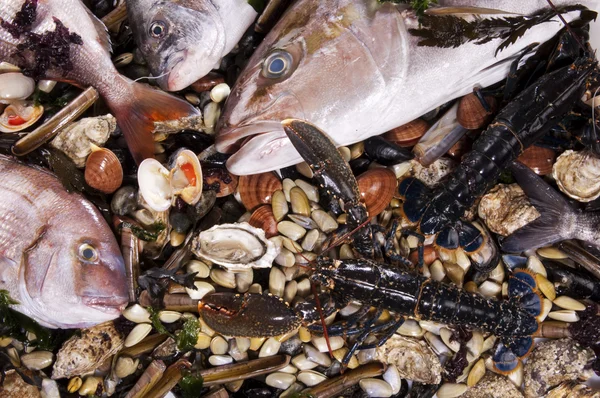 Mixed fish and sea food — Stock Photo, Image