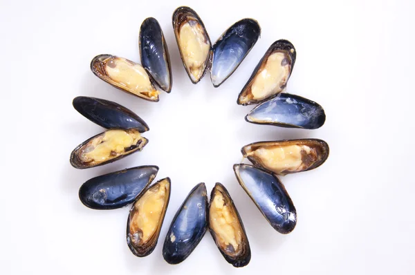 Blue Mussel — Stock Photo, Image