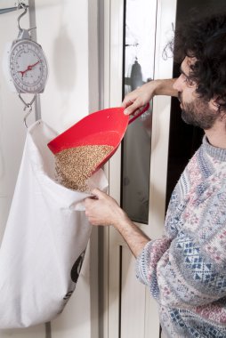 Farmer puts the grain in a bag, and weighs it clipart