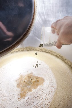 puesta de sol del mar con la silueta de la naturaleza