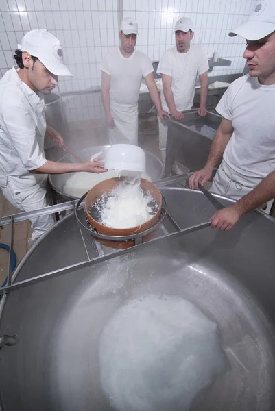 Dairymen, som förbereder mozzarella — Stockfoto