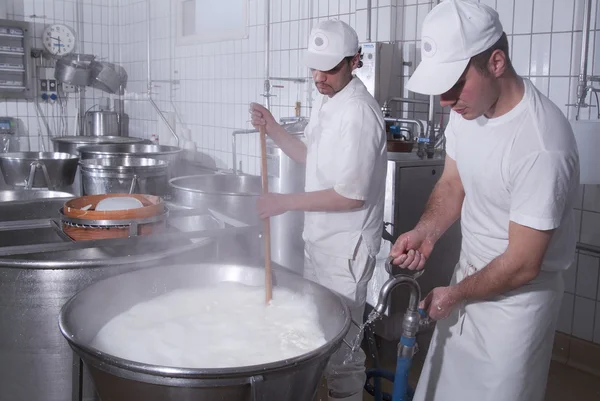 Dairymen, aki előkészíti a mozzarella — Stock Fotó